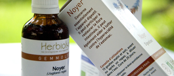 Herbiolys Gemmotherapie Noyer